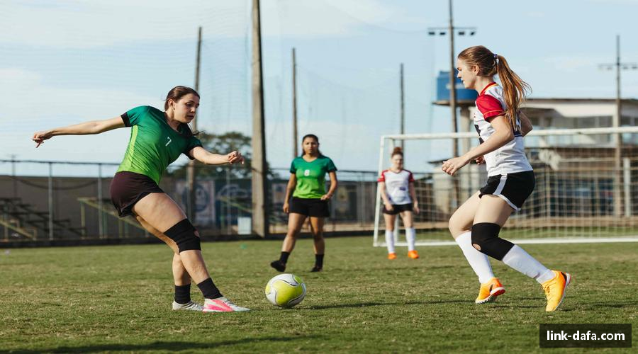 dafa大发彩票-大发彩票国际官方网站